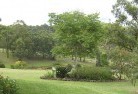 Nuggettyresidential-landscaping-40.jpg; ?>